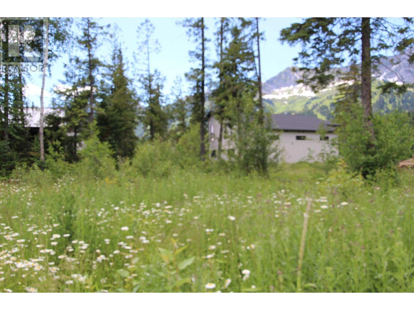 












4 HUCKLEBERRY Place

,
Fernie,







British Columbia
V0B1M1

