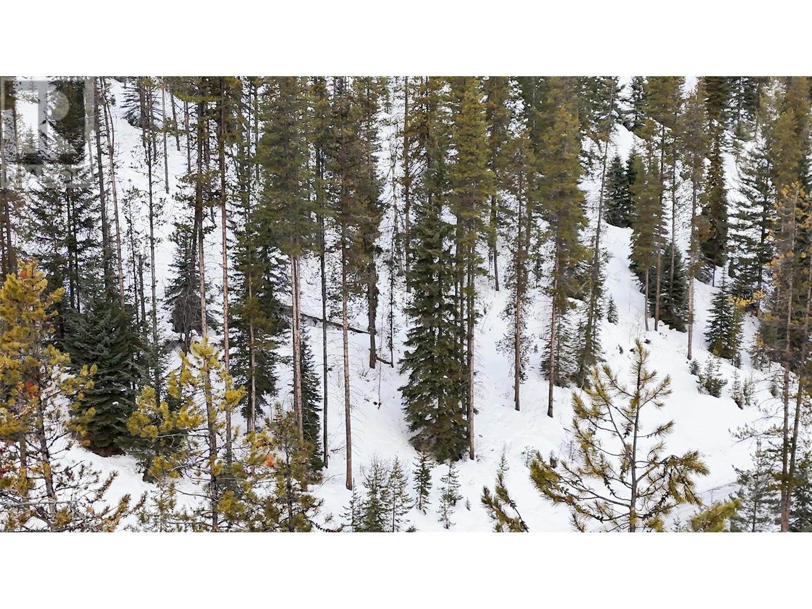 












Lot 7 GREYWOLF Drive

,
Panorama,







British Columbia
V0A1T0

