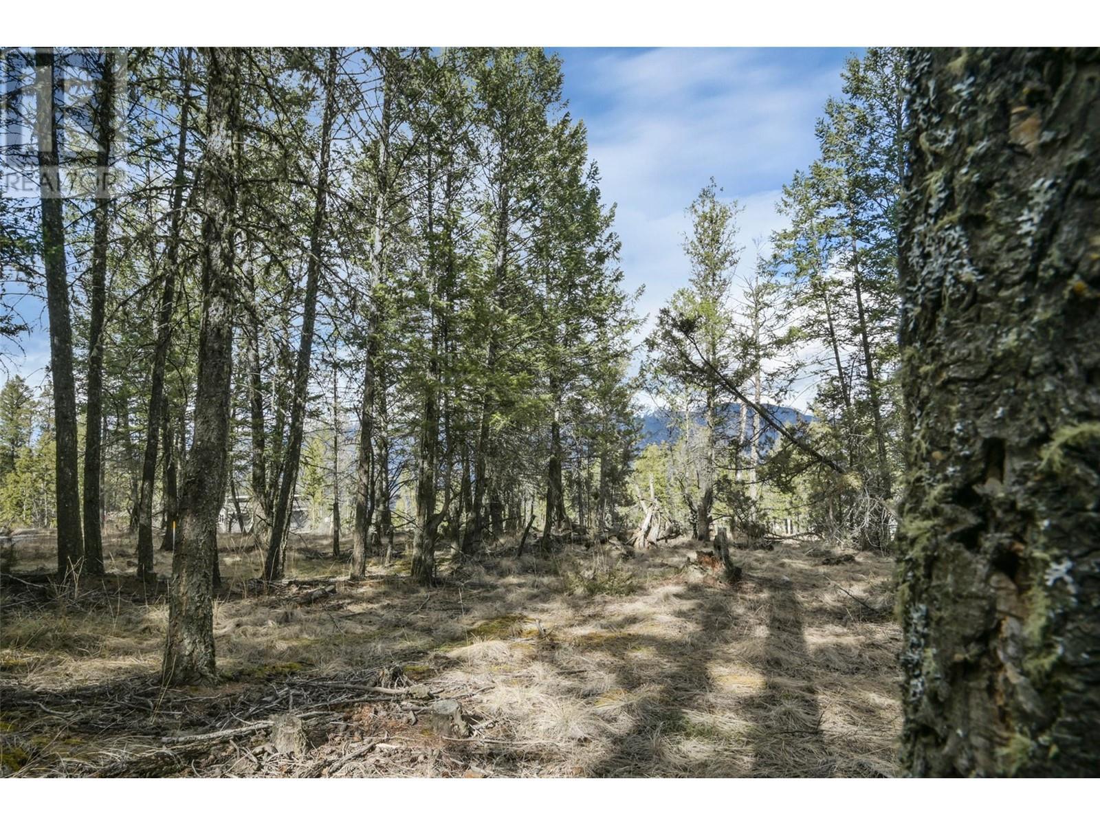 












Lot 49 PINE RIDGE MOUNTAIN Place

,
Invermere,







British Columbia
V0A1K4

