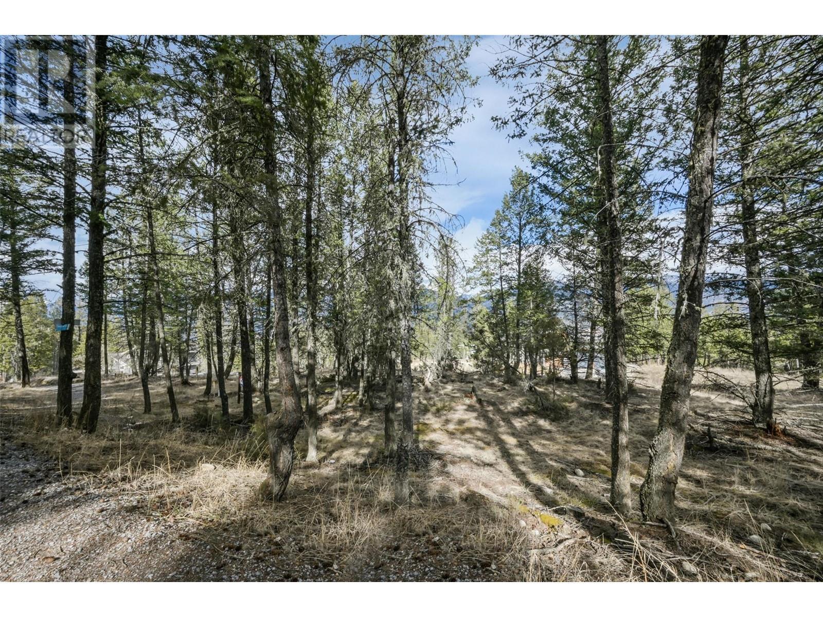 












Lot 49 PINE RIDGE MOUNTAIN Place

,
Invermere,







British Columbia
V0A1K4

