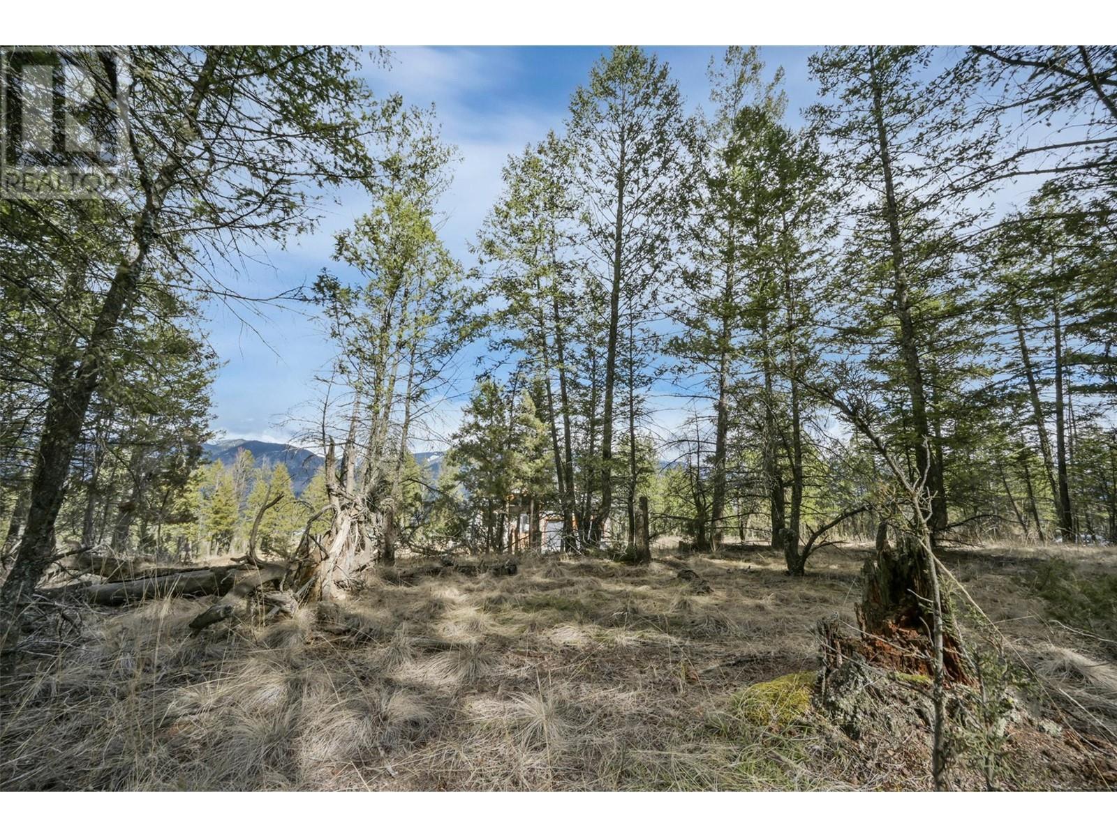 












Lot 49 PINE RIDGE MOUNTAIN Place

,
Invermere,







British Columbia
V0A1K4

