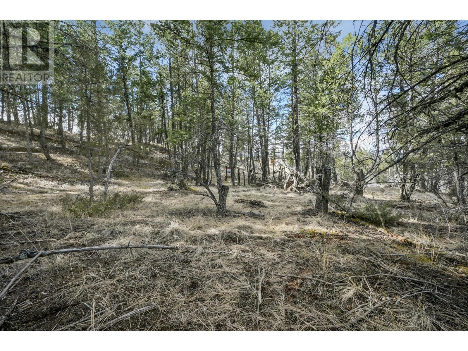 












Lot 49 PINE RIDGE MOUNTAIN Place

,
Invermere,







British Columbia
V0A1K4

