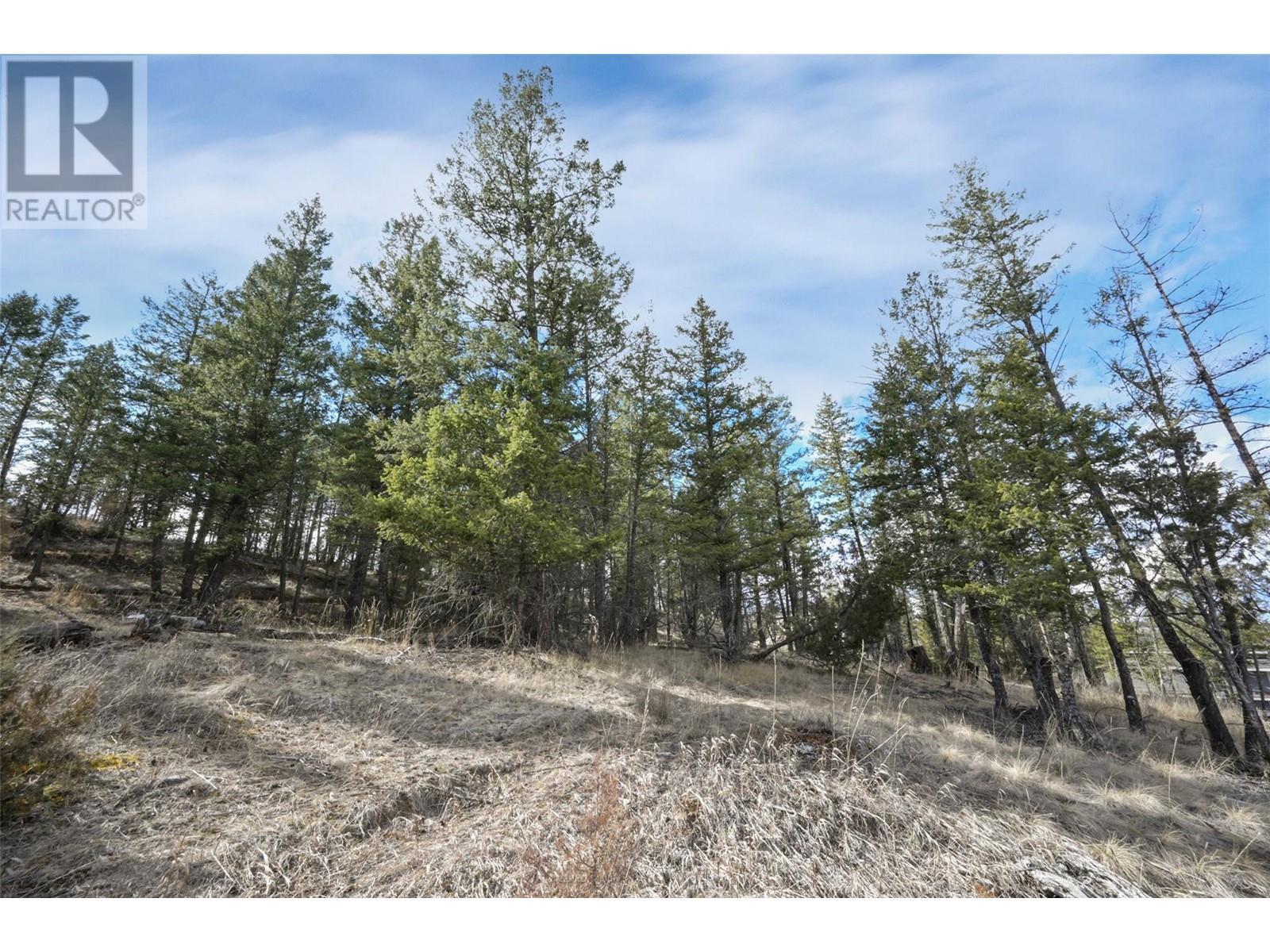 












Lot 49 PINE RIDGE MOUNTAIN Place

,
Invermere,







British Columbia
V0A1K4

