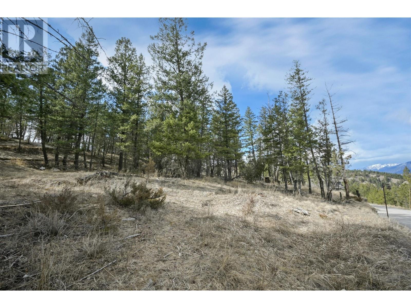 












Lot 49 PINE RIDGE MOUNTAIN Place

,
Invermere,







British Columbia
V0A1K4


