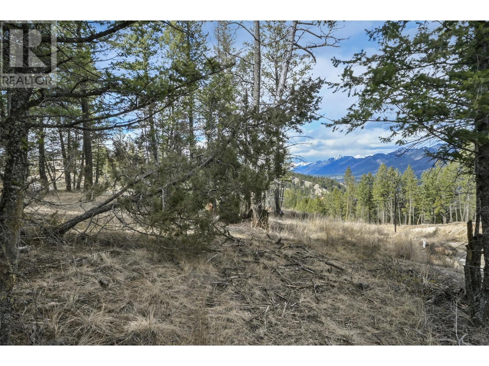 












Lot 49 PINE RIDGE MOUNTAIN Place

,
Invermere,







British Columbia
V0A1K4

