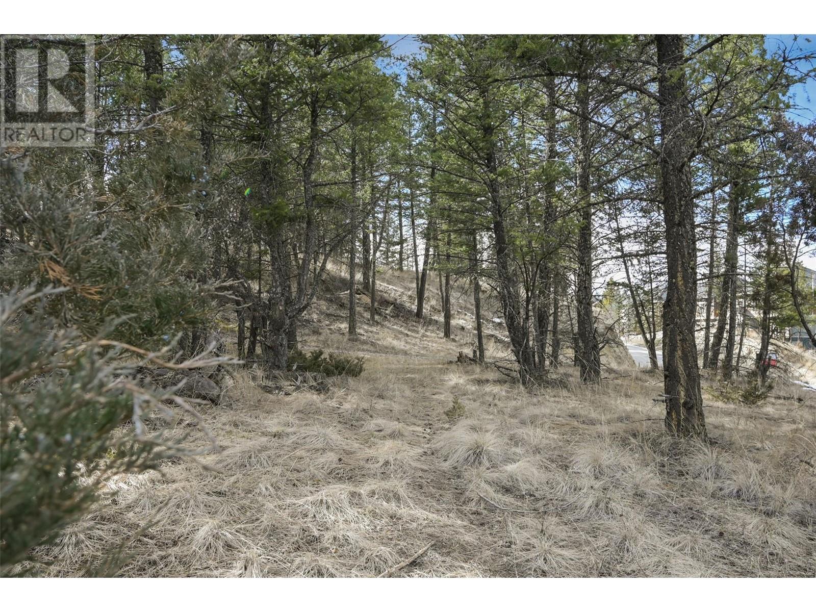 












Lot 49 PINE RIDGE MOUNTAIN Place

,
Invermere,







British Columbia
V0A1K4

