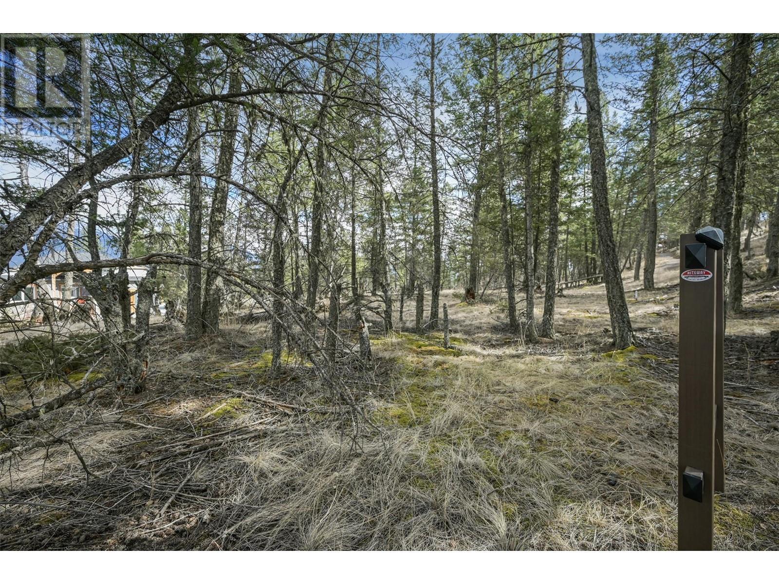 












Lot 49 PINE RIDGE MOUNTAIN Place

,
Invermere,







British Columbia
V0A1K4

