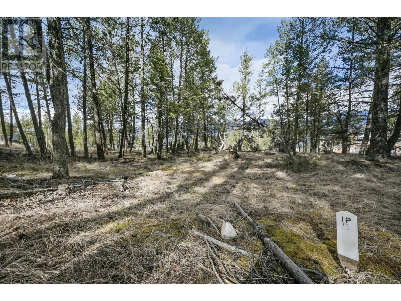 












Lot 49 PINE RIDGE MOUNTAIN Place

,
Invermere,







British Columbia
V0A1K4

