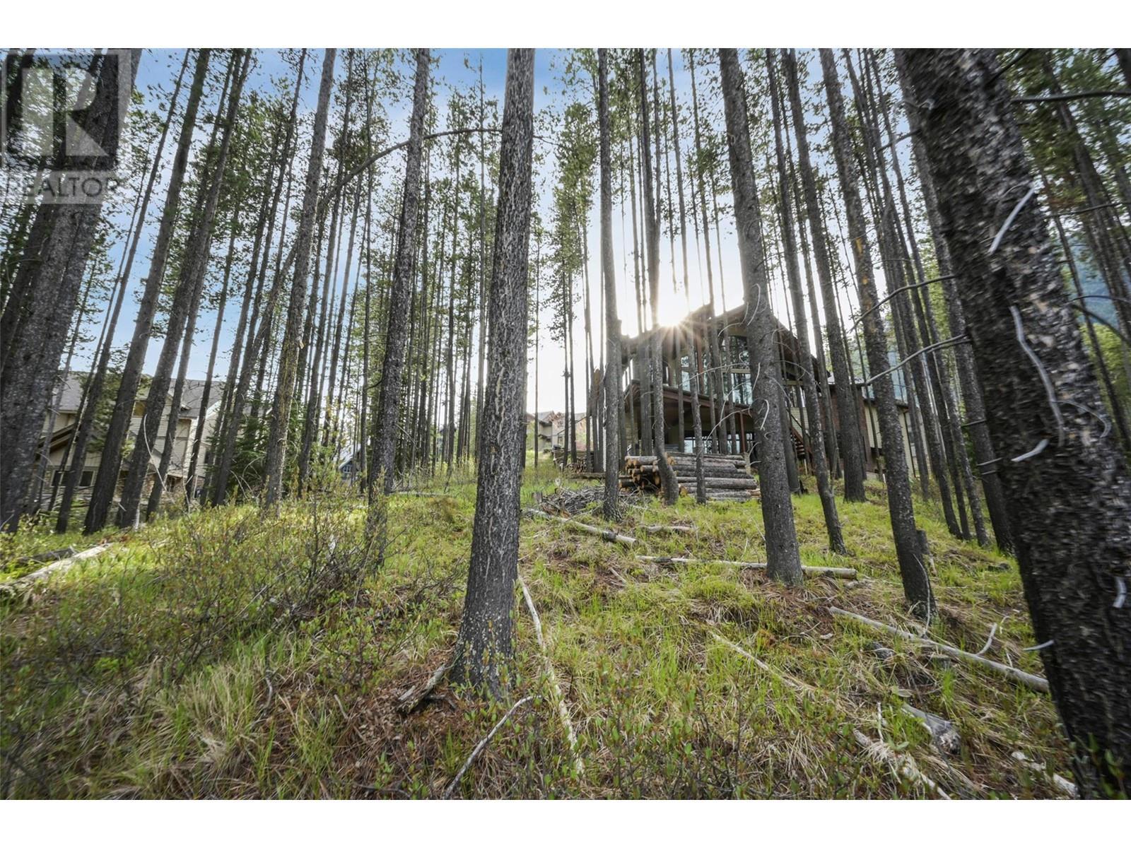 












Lot 2 Cliffside Grove

,
Panorama,







British Columbia
V0A1T0

