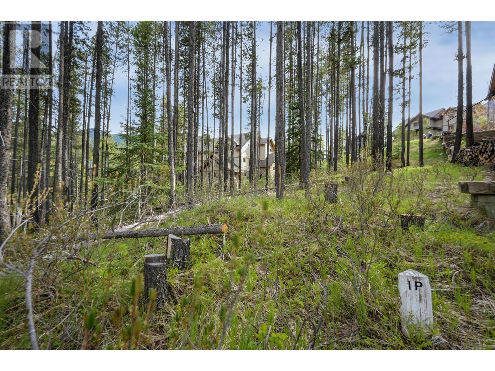 












Lot 2 Cliffside Grove

,
Panorama,







British Columbia
V0A1T0

