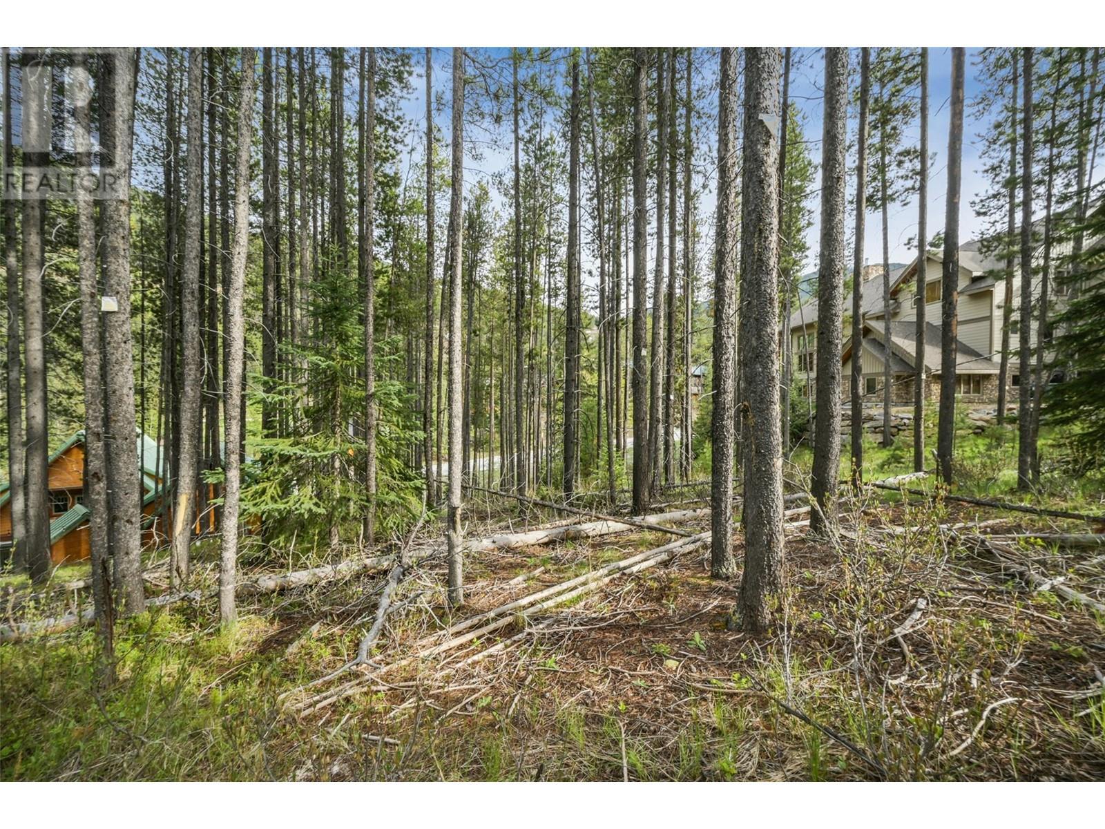 












Lot 2 Cliffside Grove

,
Panorama,







British Columbia
V0A1T0

