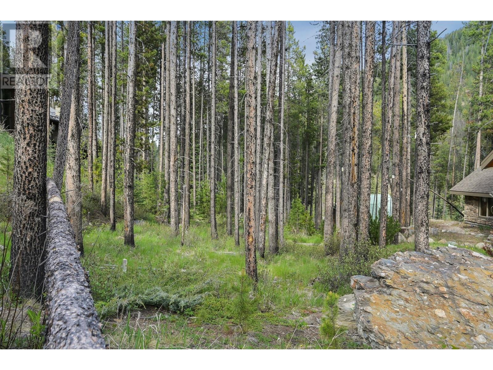 












Lot 2 Cliffside Grove

,
Panorama,







British Columbia
V0A1T0

