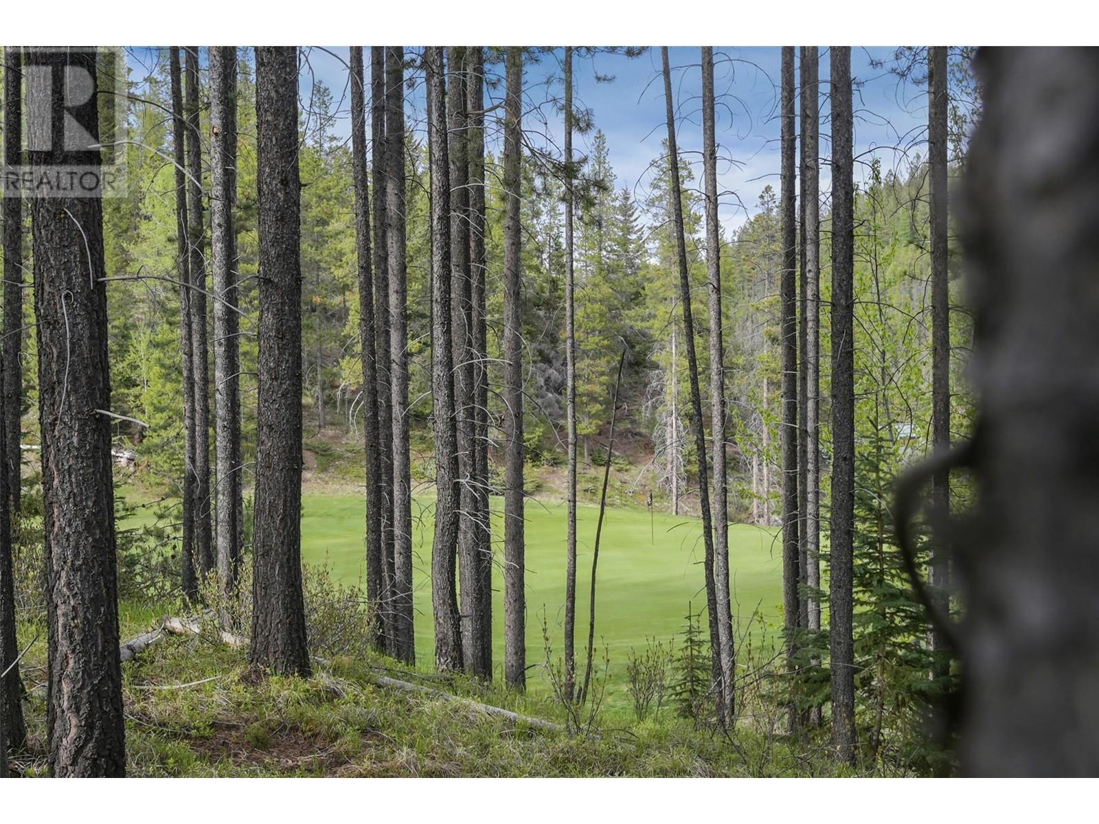 












Lot 2 Cliffside Grove

,
Panorama,







British Columbia
V0A1T0

