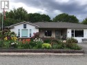 Front yard when in full bloom Front yard when in full bloom