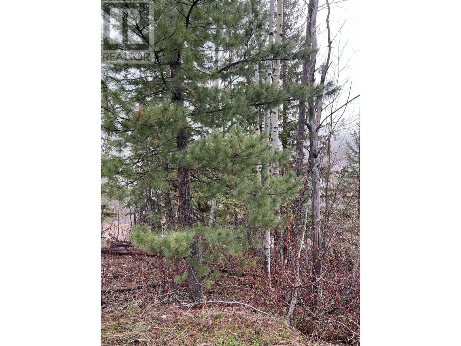 












Lot 18 ALPINE TRAIL Place

,
Fernie,







British Columbia
V0B1M5

