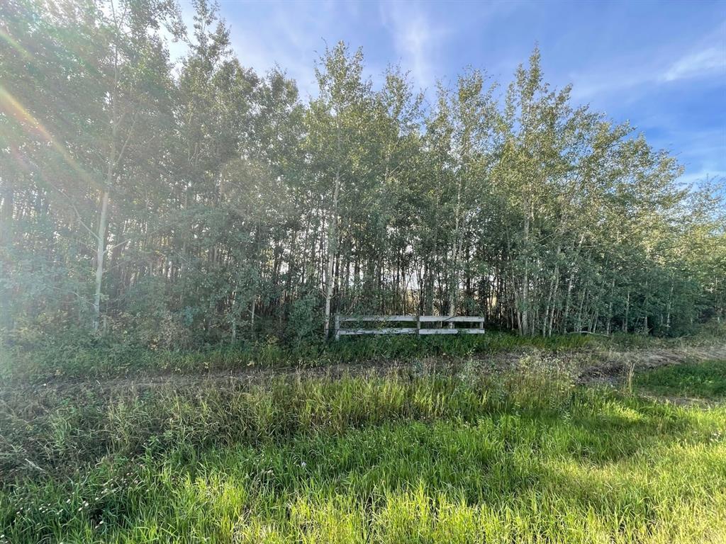 












Chinook Valley Road

,
Rural Northern Lights, County of,







AB
T0H 1E0

