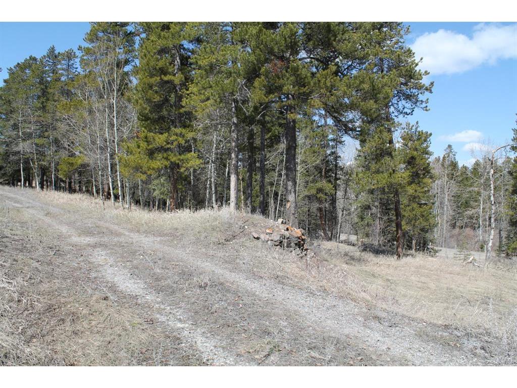 









11110


18

Avenue,
Blairmore,







AB
T0K 0E0


