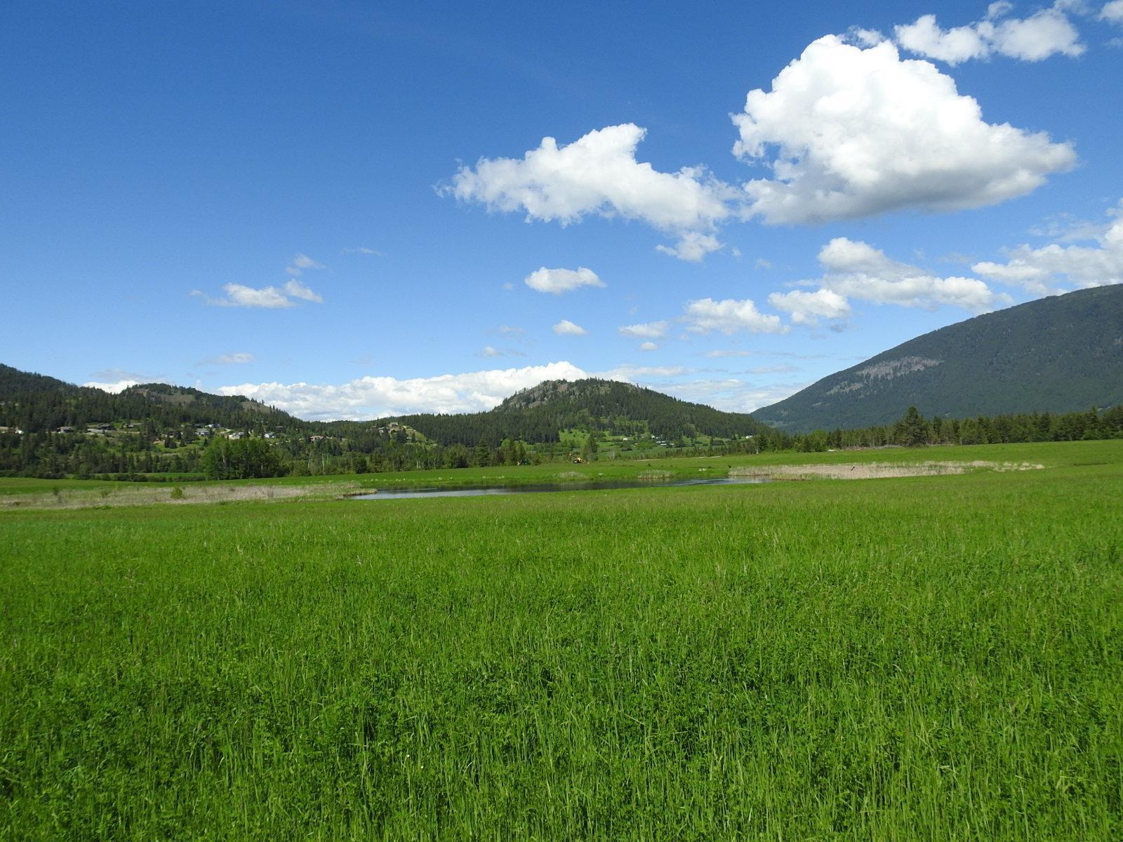 












1144 Tappen Valley Road,

,
Tappen,




British Columbia
V0E2X3

