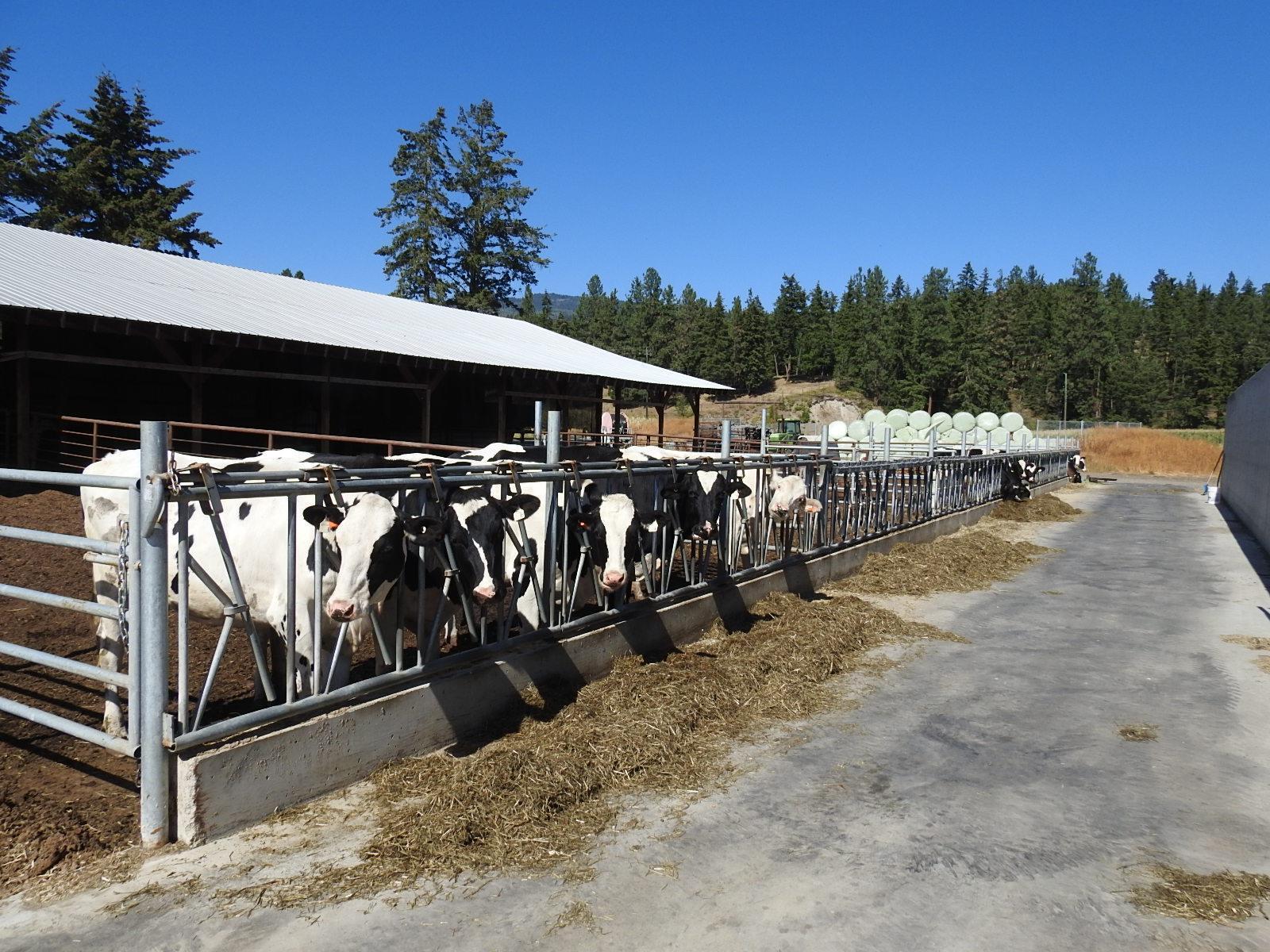 












3807 Salmon River Road,

,
Falkland,







British Columbia
V0E1W1

