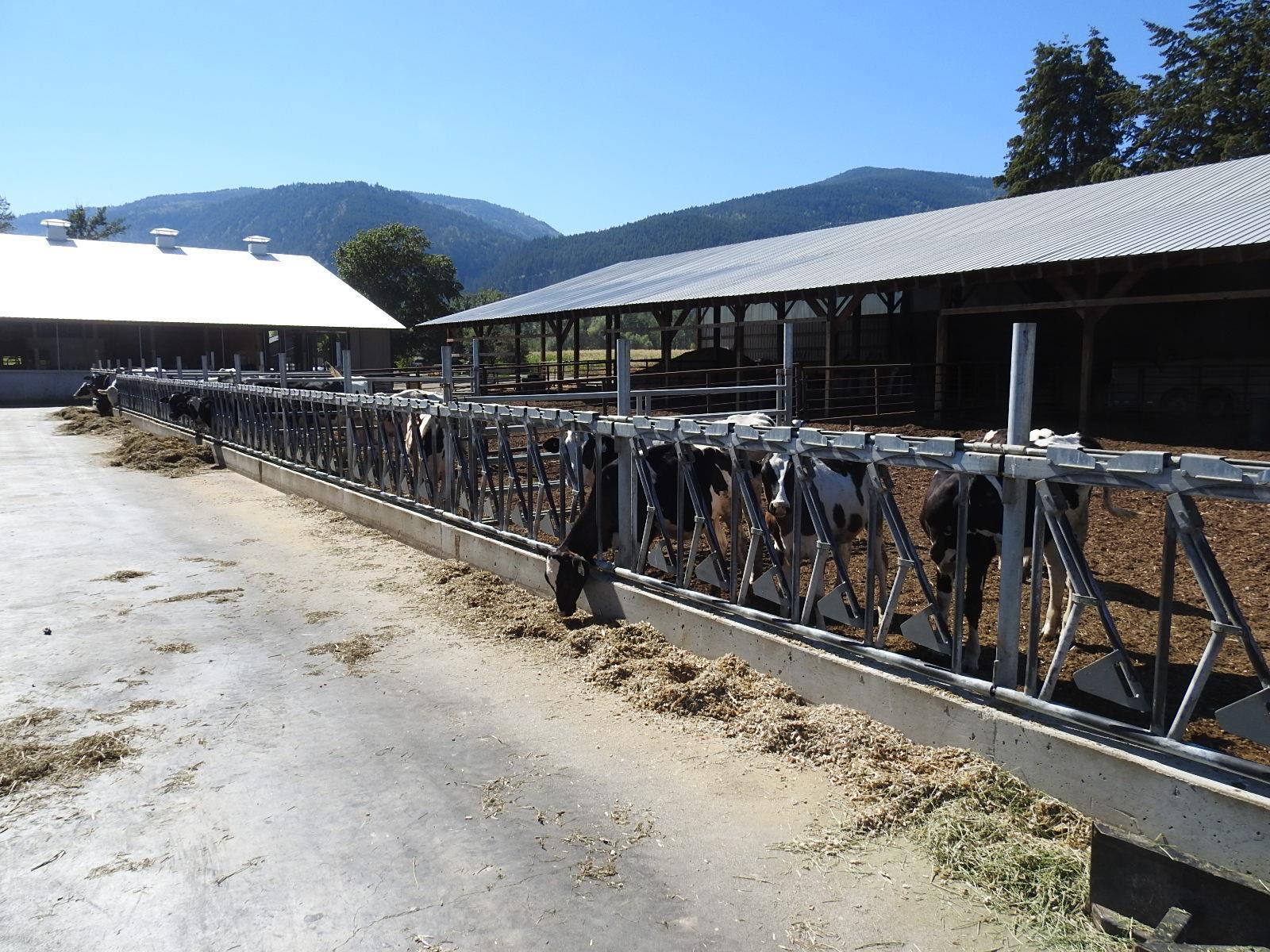












3807 Salmon River Road,

,
Falkland,







British Columbia
V0E1W1

