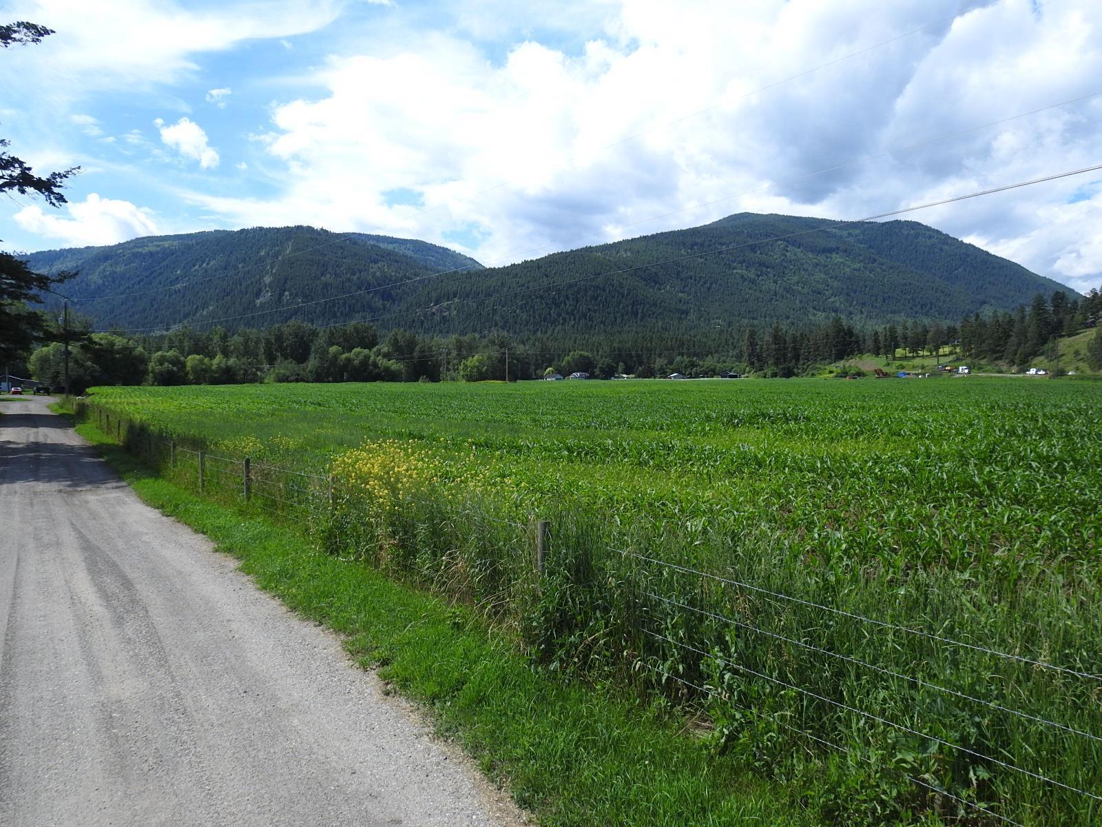 












3807 Salmon River Road,

,
Falkland,







British Columbia
V0E1W1

