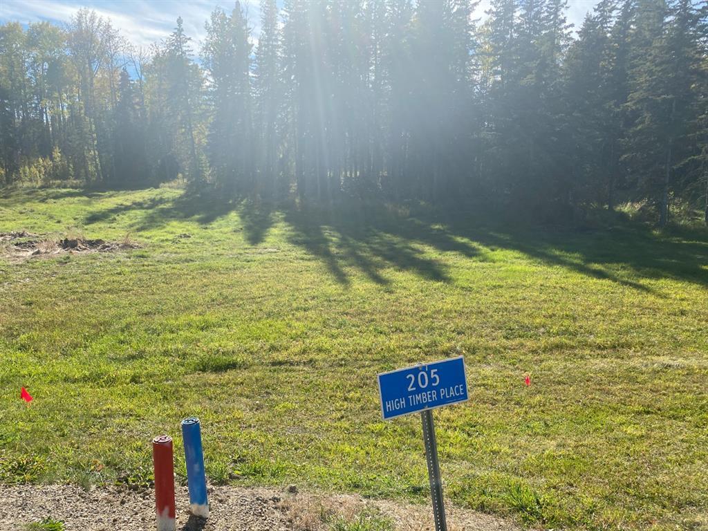 









205


High Timber

Place,
Rural Clearwater County,







AB
T4T 1A7

