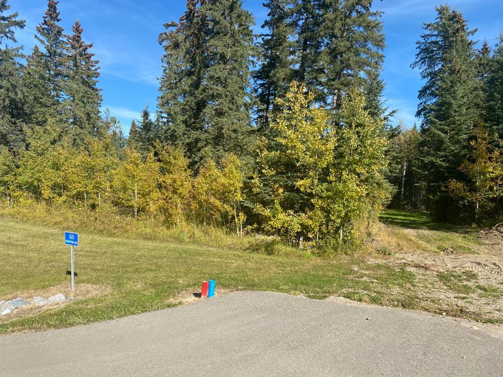 









160


Meadow Ponds

Drive,
Rural Clearwater County,







AB
T4T 1A7

