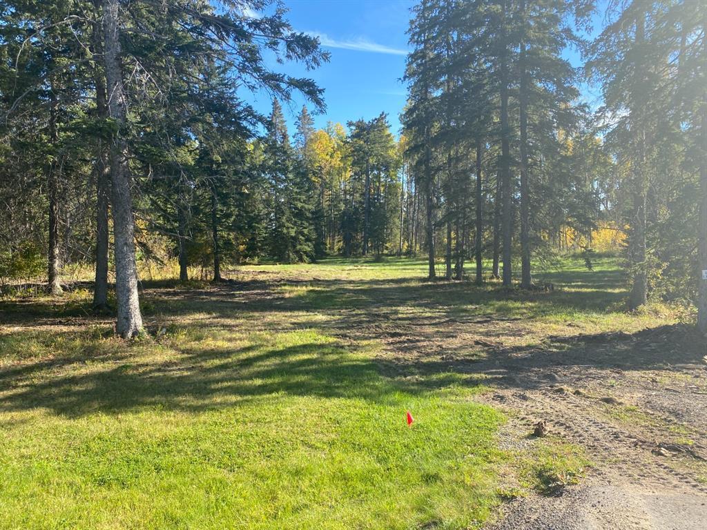 









202


High Timber

Place,
Rural Clearwater County,







AB
T4T 1A7

