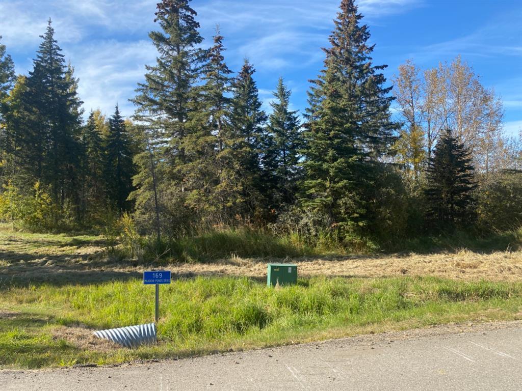 









169


Meadow Ponds

Drive,
Rural Clearwater County,







AB
T4T 1A7

