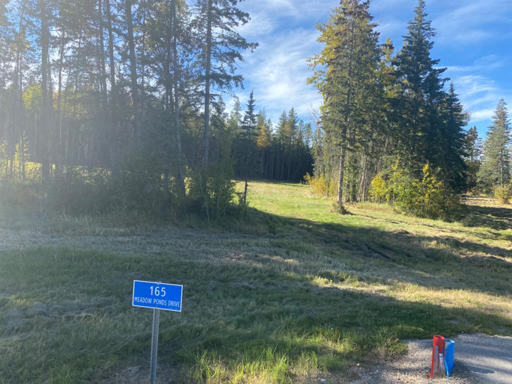 









165


Meadow Ponds

Drive,
Rural Clearwater County,







AB
T4T 1A7

