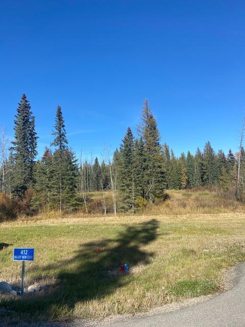 









412


Valley View

Close,
Rural Clearwater County,







AB
T4T 1A7

