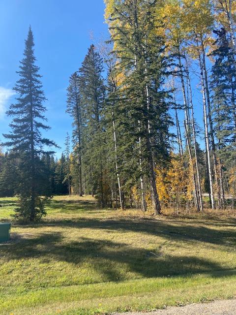 









153


Meadow Ponds

Drive,
Rural Clearwater County,







AB
T4T 1A7

