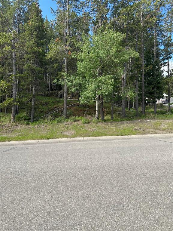 









11319


19

Avenue,
Blairmore,







AB
T0K0E0

