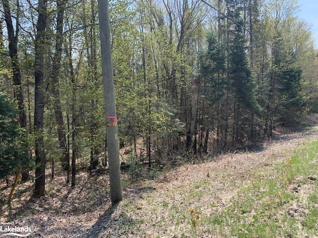 









785


South Horn Lake

Road,
Sundridge,







ON
P0A 1Z0

