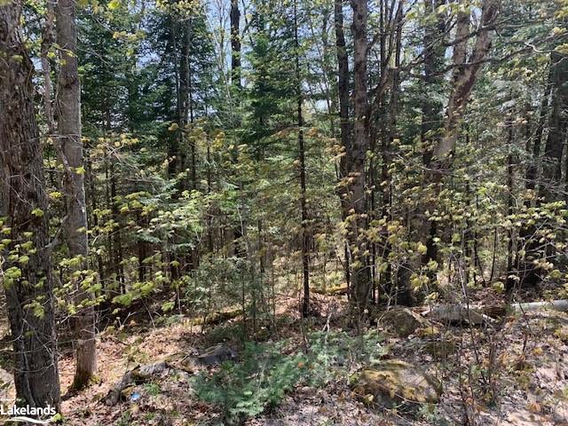 









785


South Horn Lake

Road,
Sundridge,







ON
P0A 1Z0

