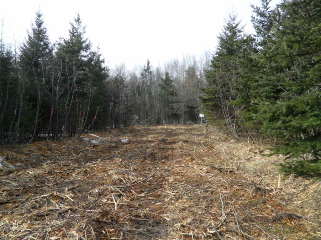 












1V Highway 224

,
Elmsvale,







NS
B0N 1X0

