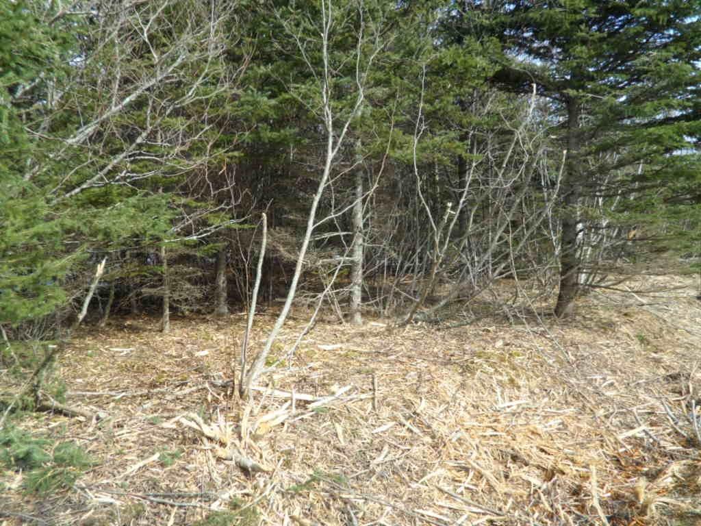 












1V Highway 224

,
Elmsvale,







NS
B0N 1X0

