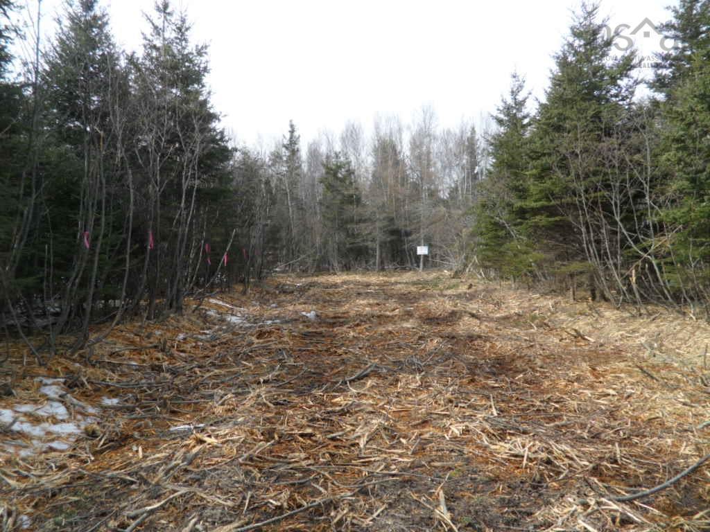 












1V Highway 224

,
Elmsvale,







NS
B0N 1X0

