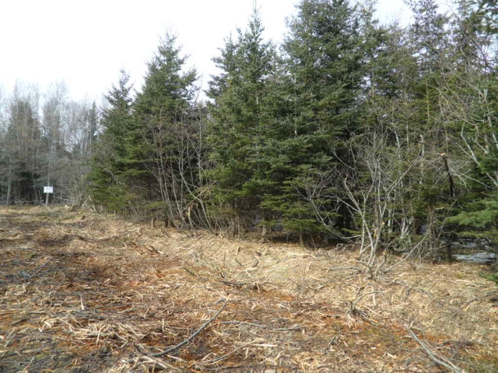 












1V Highway 224

,
Elmsvale,







NS
B0N 1X0

