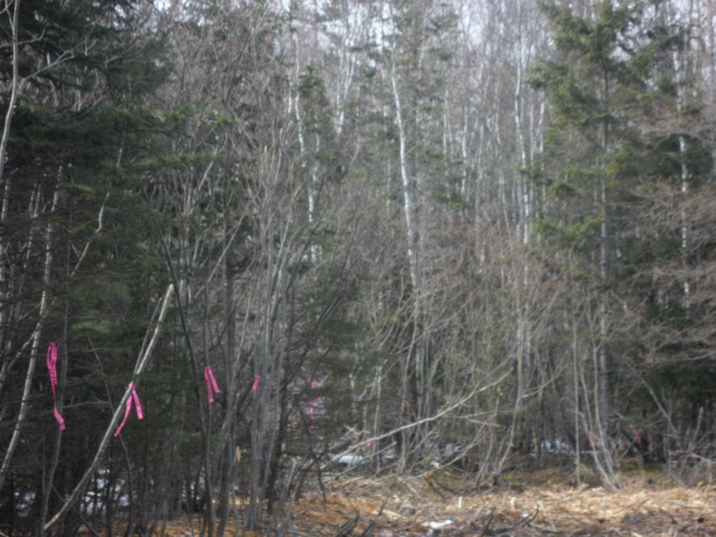 












1V Highway 224

,
Elmsvale,







NS
B0N 1X0

