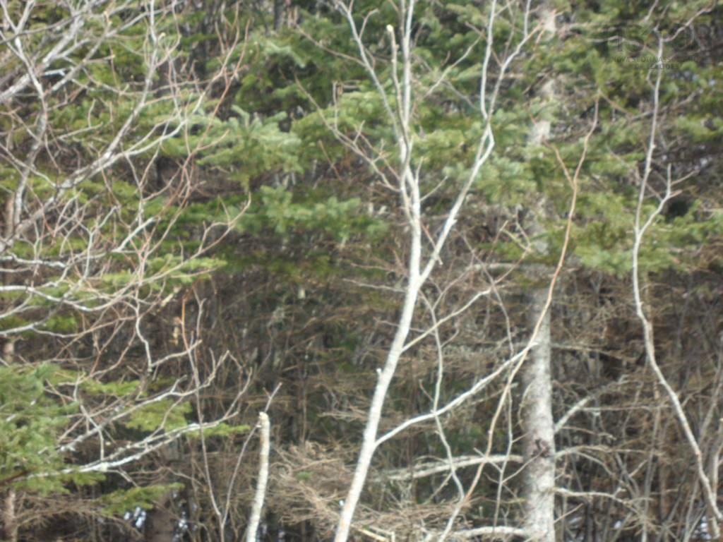 












1V Highway 224

,
Elmsvale,







NS
B0N 1X0

