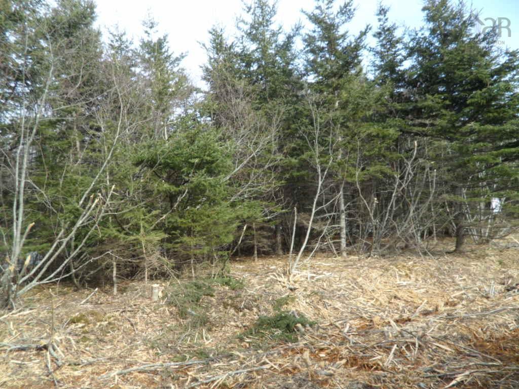 












1V Highway 224

,
Elmsvale,







NS
B0N 1X0

