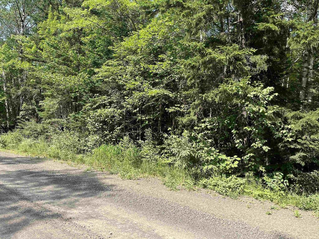 












5 Lot 5 Butler Road Road

,
Forest Home,







NS
B4N 3V8

