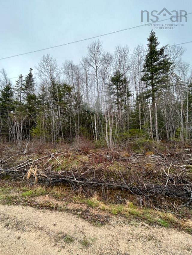 












Lot53B Russell Road

,
New Russell,







NS
B0J 2M0


