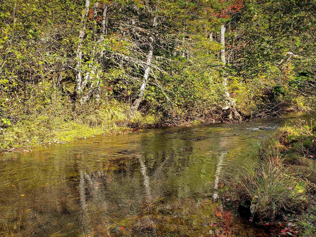












LOT 22-1 Stewiacke Road

,
South Branch,







NS
B0N 2P0

