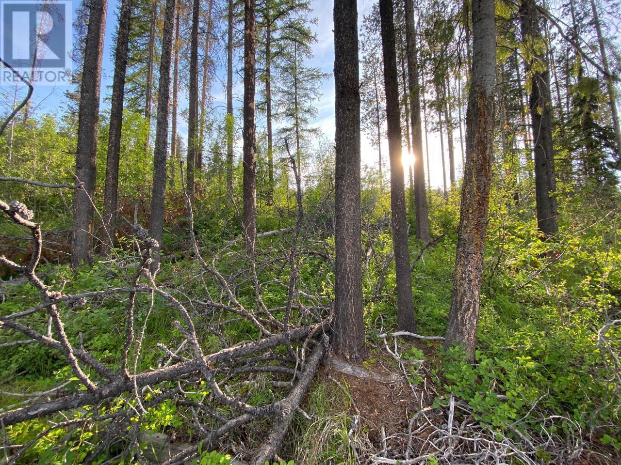 












808 DEER RUN Drive

,
Kimberley,







British Columbia
V1A3E9

