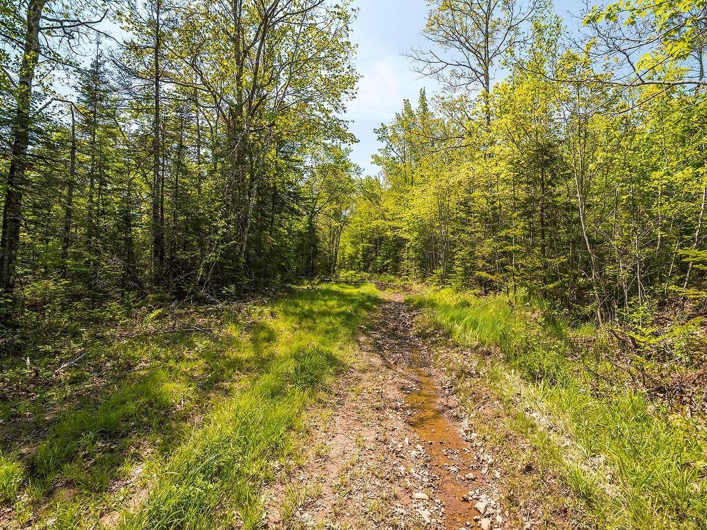 












Lot Old Post Road

,
Enfield,







NS
B2T 1E2

