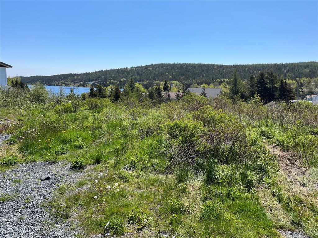 









153


Back Track

Road,
Spaniards Bay,







NL
A0A 3X1

