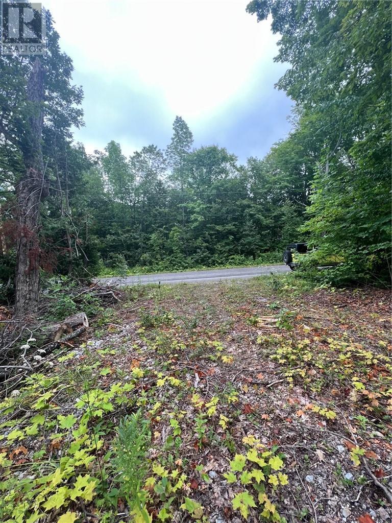 












N/A Monument Road

,
Spring Bay, Manitoulin Island,







Ontario
P0P2B0

