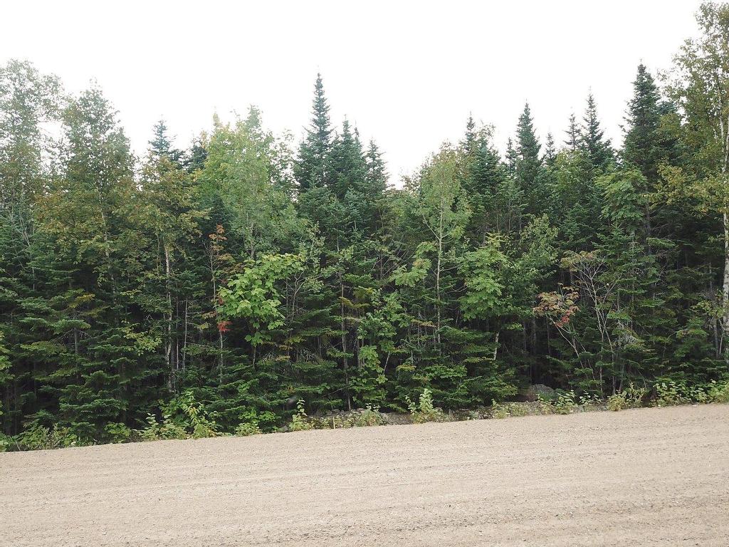 












Ch. Paul-Émile-Borduas

,
Petite-Rivière-Saint-François,







QC
G0A2L0

